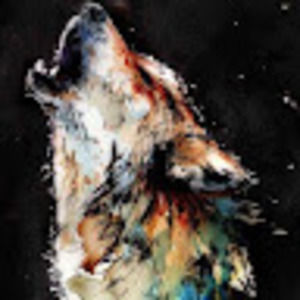 Meet your Posher, Tessa